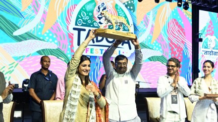 tadoba andhari tiger reserve marathi news, actress raveena tandon on tadoba andhari tiger reserve marathi news tadoba andhari tiger reserve marathi news, actress raveena tandon on tadoba andhari tiger reserve marathi news