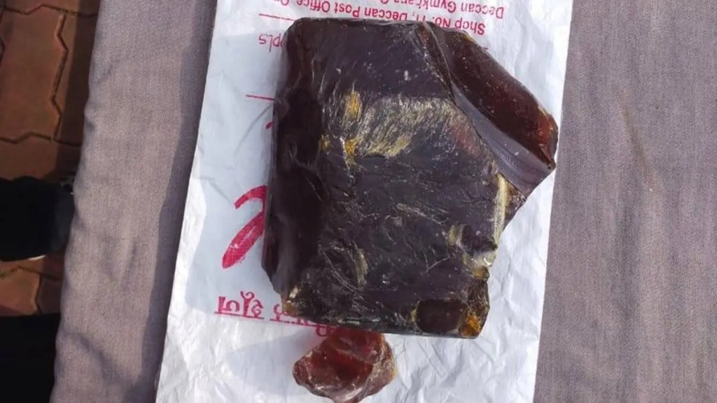 ambergris of rupees 19 crores sangli marathi news, ambergris seized by police marathi news
