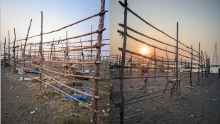 vasai marathi news, dry fish vasai marathi, fish dry business vasai marathi news