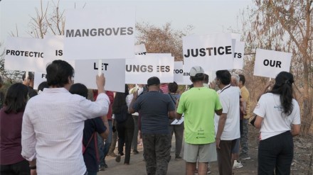 navi mumbai, environmentalist protest,