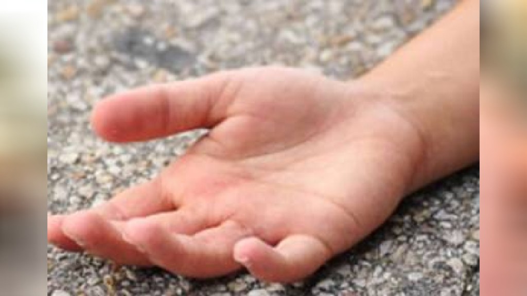 An 11 year old boy died after being bitten by a cat in Ukhali village of Hingana taluka