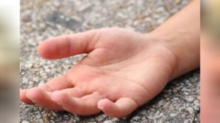 An 11 year old boy died after being bitten by a cat in Ukhali village of Hingana taluka