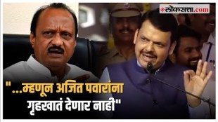 Devendra Fadnavis on Ajit Pawar:"अजित पवारांनी चांगलं काम केलं, तरीही...", फडणवीस नेमकं काय म्हणाले?