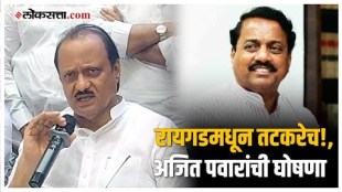 Ajit Pawars reaction on loksabha election
