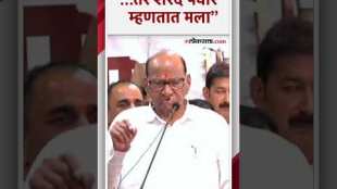 Sharad Pawars direct warning to MLA Sunil Shelke from the meeting in Lonavala