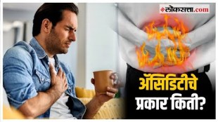 what is Bile and their types Health Special