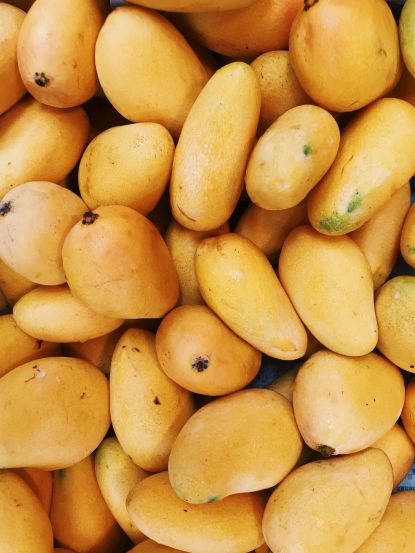 how to identify sweet mango without cutting 5 tricks to identify ripe and sweet mango 