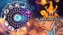 गुरु कृतिका नक्षत्रात करणार प्रवेश, या राशींच्या लोकांचा होईल भाग्योदय, धन-संपत्तीत होईल चांगली वाढ