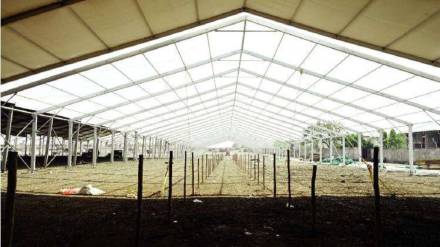expensive mandap in pm modi rally in yavatmal expensive mandap in pm modi rally in yavatmal
