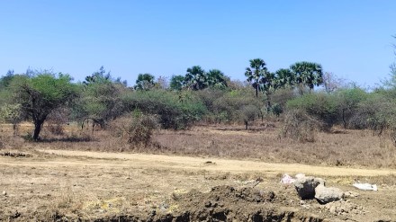 out of the 337 hectare area in Palghar not a single plot has been developed by CIDCO out of the 337 hectare area in Palghar not a single plot has been developed by CIDCO