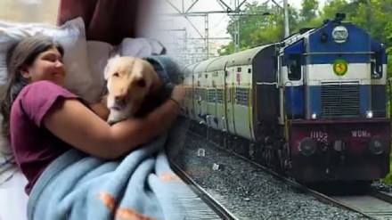 Pune Railway Station, Increase, Pet Transport, 1000 Animals Transported, January and February 2024, marathi news, train, indian railway, journey, dog, cat, paws, puppy, kitten, Pune Railway Station, Increase, Pet Transport, 1000 Animals Transported, January and February 2024, marathi news, train, indian railway, journey, dog, cat, paws, puppy, kitten,