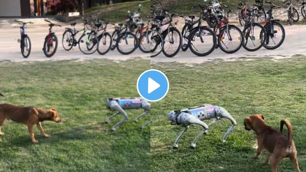 when real dog face robo dog watch Funny incident