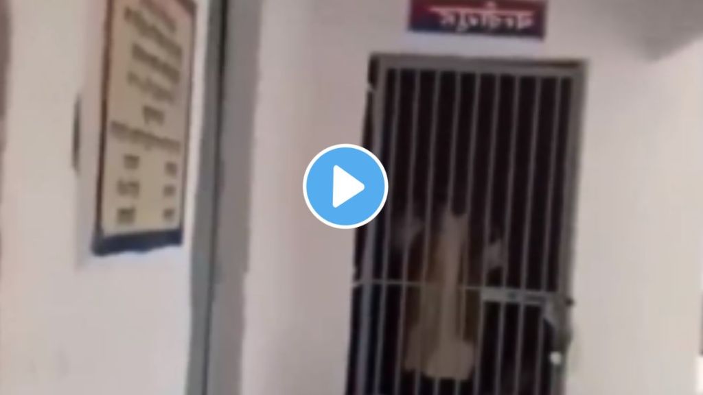a drunkard was in jail started singing painful song