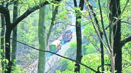 Vidarbha has huge potential for natural resource based industries Vidarbha has huge potential for natural resource based industries