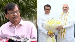 sanjay raut raj thackeray amit shah