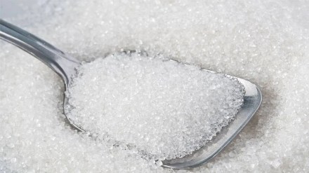 Post Monsoon Rains, Boost, India, Sugar Production, Estimated, Reach 34 Million, This Season,
