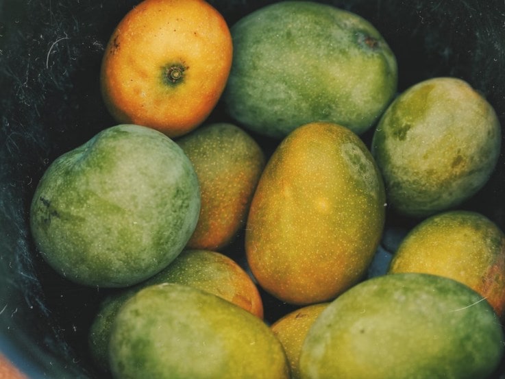 Science Behind why mangoes should be soaked in water before eating