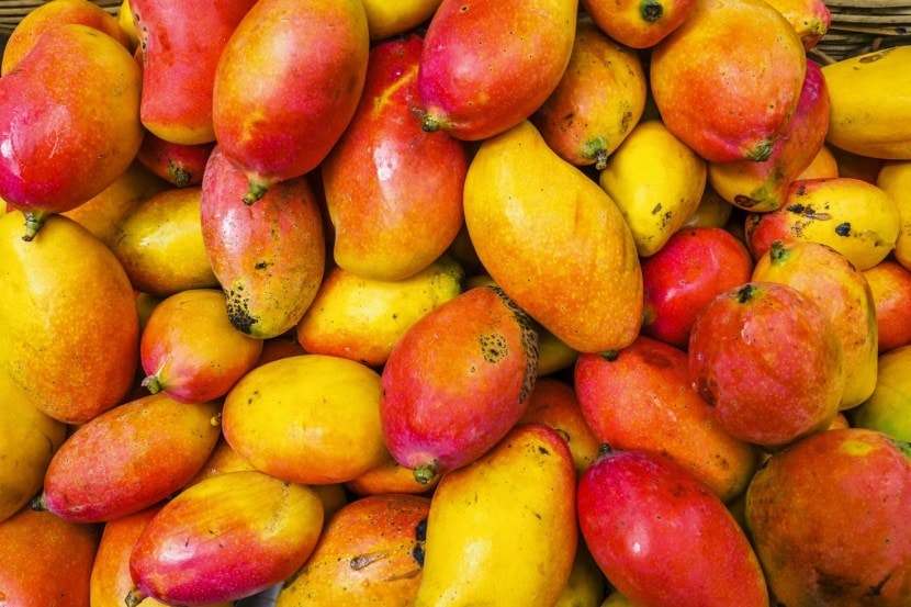 Science Behind why mangoes should be soaked in water before eating