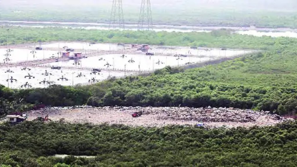Development Plan, Navi Mumbai, Wetlands, Residential Complexes, Political Silence, flamingo, environment, Development Plan, Navi Mumbai, Wetlands, Residential Complexes, Political Silence, flamingo, environment,