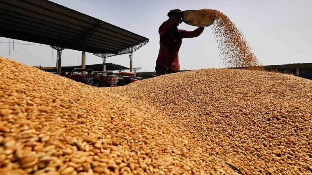 india estimates 1140 lakh tonnes wheat production this year india estimates 1140 lakh tonnes wheat production this year