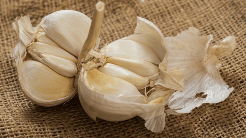 Not only garlic its peels are also amazing for health