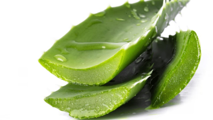 How to use aloe vera gel for hair regrowth long hair home remedies