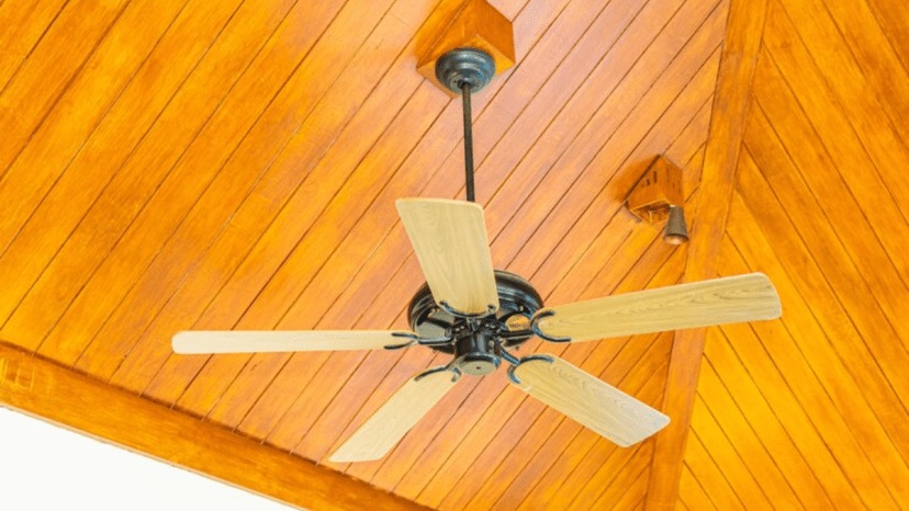 how to deal with ceiling fan irrtating noise problem