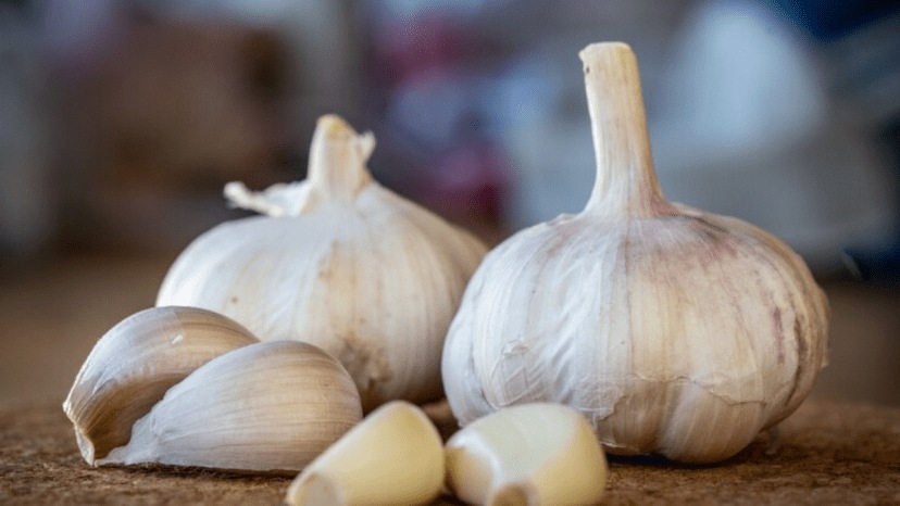 Not only garlic its peels are also amazing for health