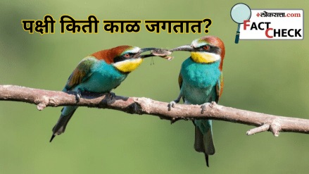 How long do birds live