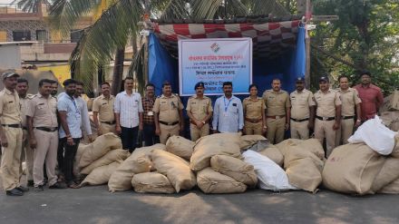 Gutkha worth 11 lakh 60 thousand seized at Maisal check post