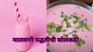 How to make solkadhi marathi recipe