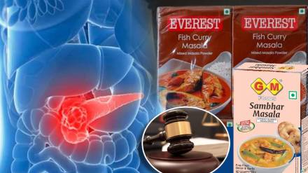 MDH Everest Masala Controversy Modi Sarkar Spice Board Big Decision