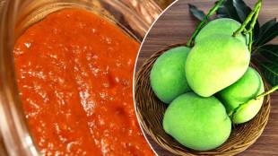 Recipes of raw mango mango sauce recipe in marathi