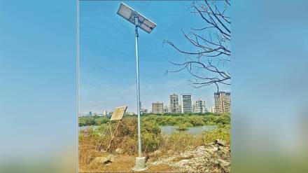 flamingo, Solar lights, Navi Mumbai ,