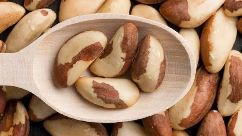 Benefits of consuming Brazil nuts to help relieve the symptoms of hypothyroidism You Must Know