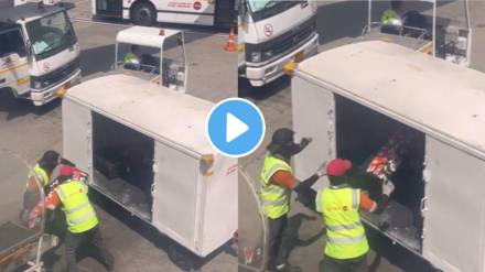 Viral Video The Air India staff who loads the luggage on the plane throws passenger musical instruments Viral Video The Air India staff who loads the luggage on the plane throws passenger musical instruments