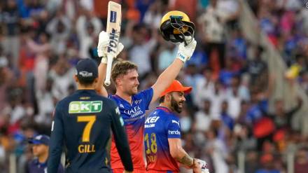 RCB beat GT by 9 Wickets With Will Jacks Century and Virat kohli power hitting RCB beat GT by 9 Wickets With Will Jacks Century and Virat kohli power hitting