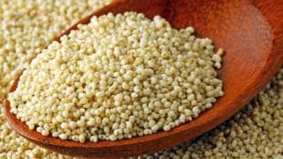 Poppy Seeds Benefits