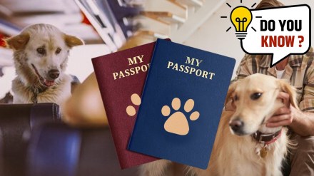 Pet Passport Pet Passport