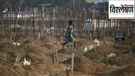 Sierra Leone are digging up human graves