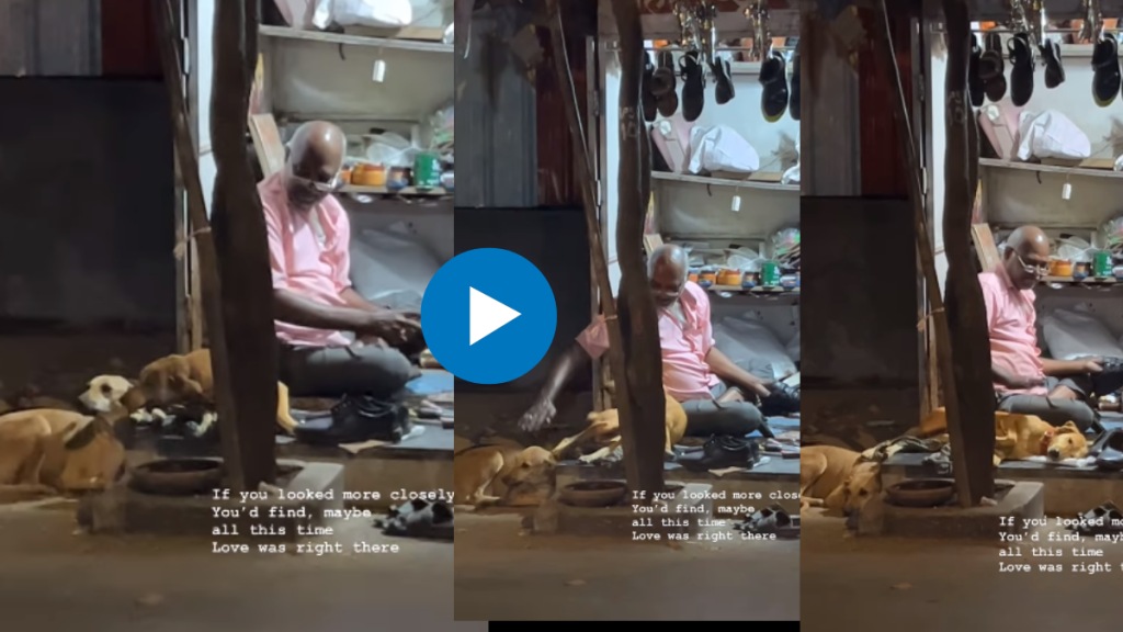 This video of an elderly cobbler and two stray dogs in Mumbai