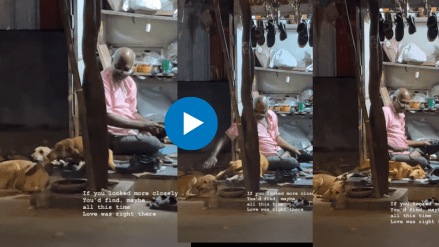 This video of an elderly cobbler and two stray dogs in Mumbai