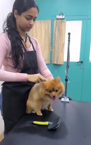 वल्लरीचं पेट ग्रुमिंग सलून आहे. Bath and Barks असं तिच्या सलून नाव आहे.