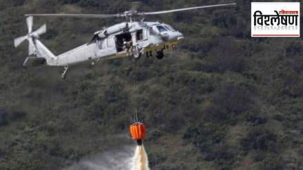 What is a Bambi Bucket
