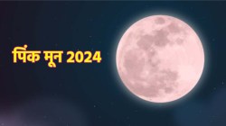 गुलाबी साडीचा विषय सोडा, आकाशात दिसणार चक्क ‘गुलाबी चंद्र’; आज पौर्णिमेला ‘या’ वेळेत पाहा ‘पिंक मून’