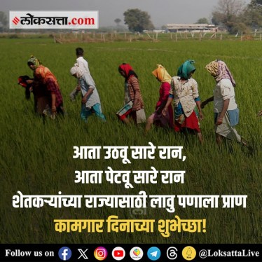 (Photo : Loksatta Graphics Team)