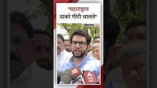 Maha Vikas aghadi Aditya Thackeray slams the rulers parties