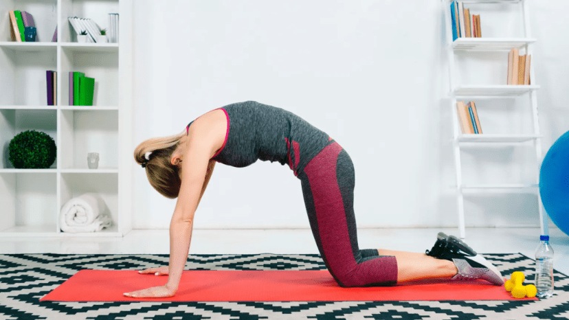 Chakravakasana uttanasana balasana yoga poses for better sleep before bedtime