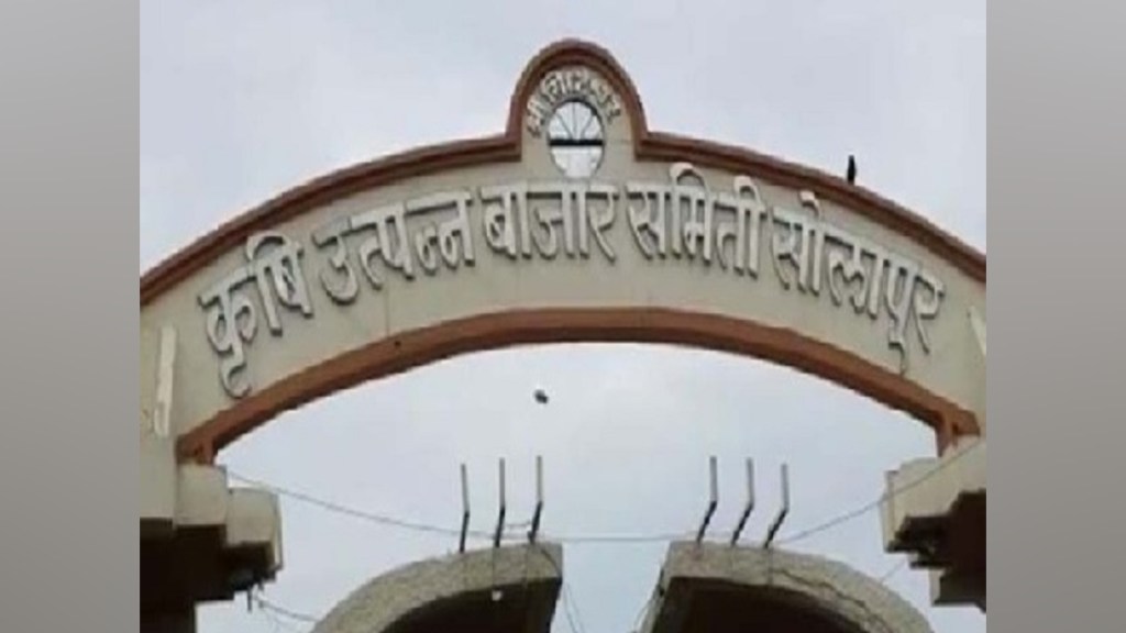 solapur, 1139 crores turnover, onion business in Solapur, during adverse times, onion profit solapur, solapur Agricultural Produce Market Committee, onion in solapur, farmer, marathi news,