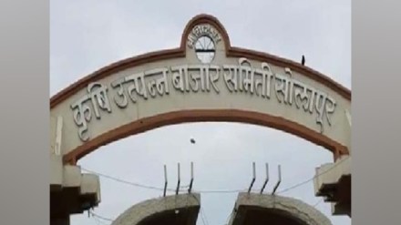 solapur, 1139 crores turnover, onion business in Solapur, during adverse times, onion profit solapur, solapur Agricultural Produce Market Committee, onion in solapur, farmer, marathi news,